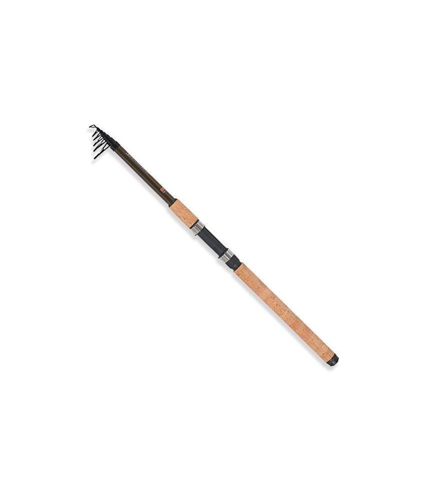 Teleskopinis Spiningas Robinson Ashigari Tele Spin 10-35g 1A-TS