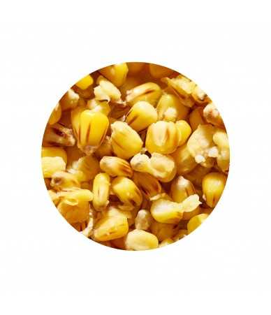 Virtos sėklos ir Kukurūzai Genlog Scopex 1kg