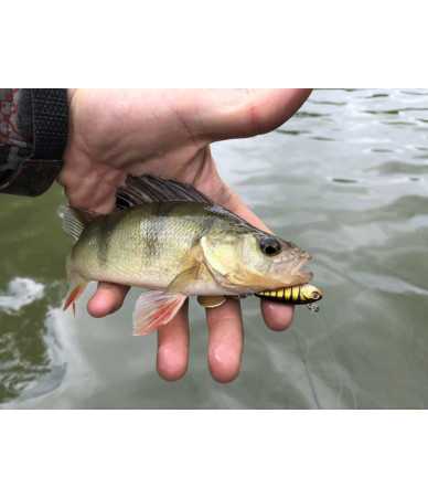 Vobleris Sakura TAILSPIN (33 mm - 14 g)