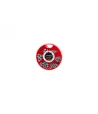 Svareliai Germina Fishing Shot, 120 g