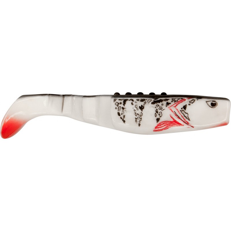 Riperis Dragon Phantail Print 4"/10 cm, 3 vnt.
