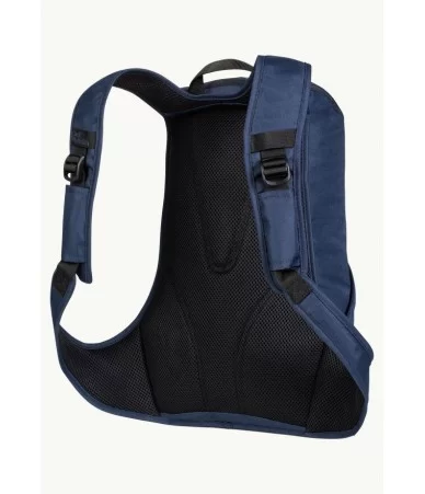 Kuprinė Jack Wolfskin Frauenstein | leaves/night blue