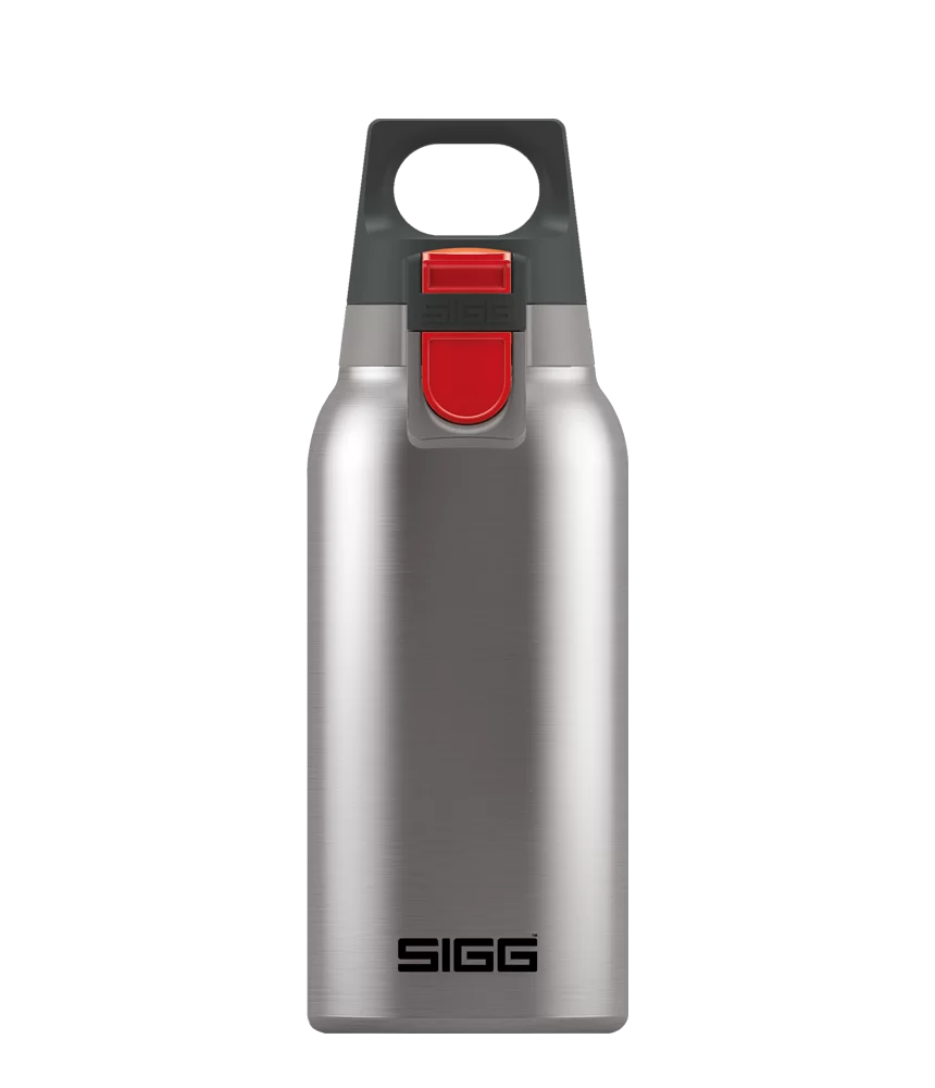 Termo puodelis SIGG Hot & Cold ONE ACCENT, 0,3 L | brushed