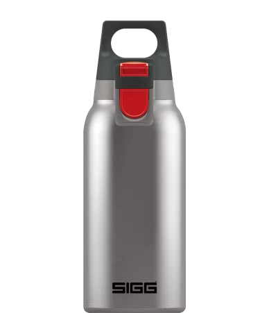 Termo puodelis SIGG Hot & Cold ONE ACCENT, 0,3 L | brushed