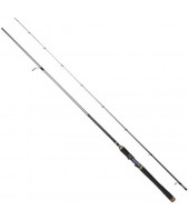Spiningas Dragon Millenium SP SpeedKing 2,90m 10-30g