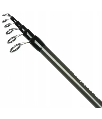 Meškerė Robinson Flexcore Tele Roach, 3,60 m, 10-30 g