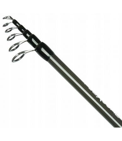 Meškerė Robinson Flexcore Tele Carp, 3,30 m, 40-80 g