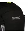 Kuprinė Britedale 20L | Juoda