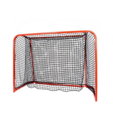 Tempish Floorball goal...