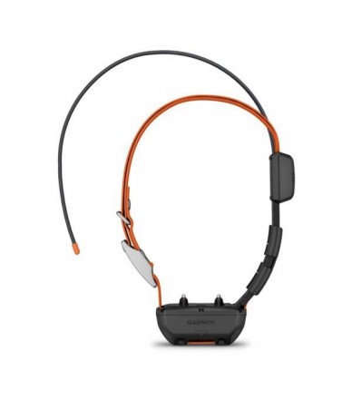 Alpha TT25 GPS collar, (alt...