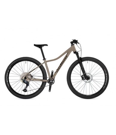 Author Context ASL 29...