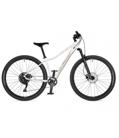 Author Solution ASL 29...