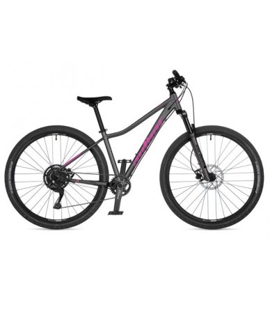 Author Solution ASL 29...