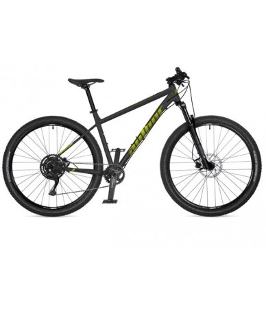 Author Solution 29 Temple...