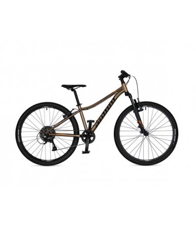 Author A-Matrix 26 Bronze...