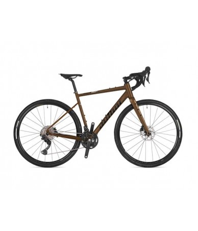 Author Aura XR6 Bronze Age...