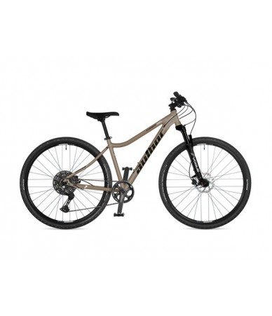 Author Codex ASL 29...