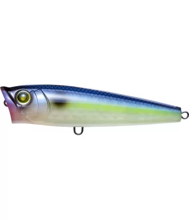 Yo-Zuri 3DR-X Popper...
