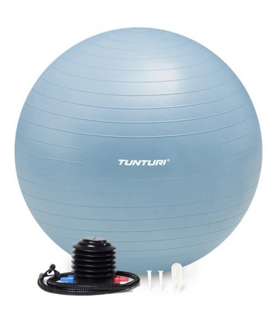 Tunturi Gymball 65cm, Light...