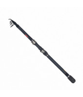 Teleskopinis spiningas Robinson Diagonal Tele-Spin 2.70m 10-30g