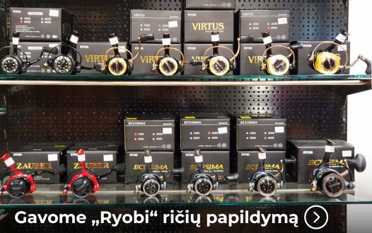 Gavome „Ryobi“ ričių papildymą!