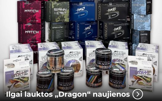 Ilgai lauktos „Dragon“  valų naujienos!
