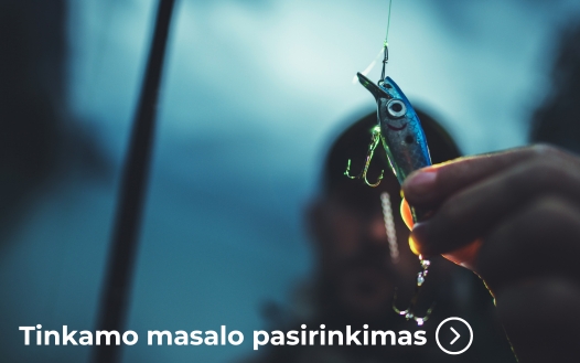 Tinkamo masalo pasirinkimas