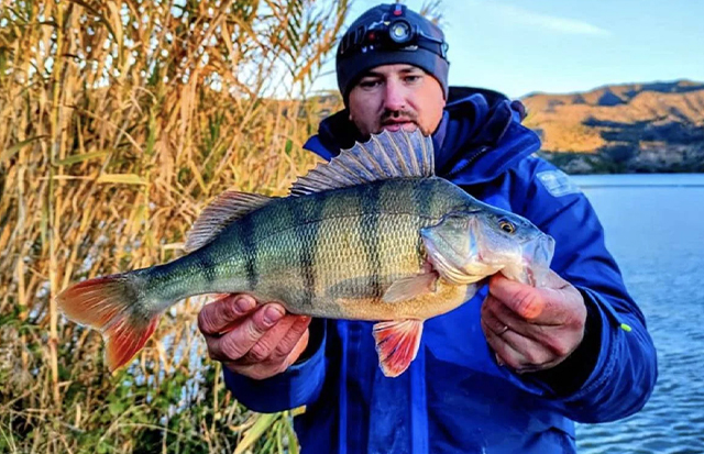 Ešerių žvejyba pavasarį nuo kranto: išsamus gidas