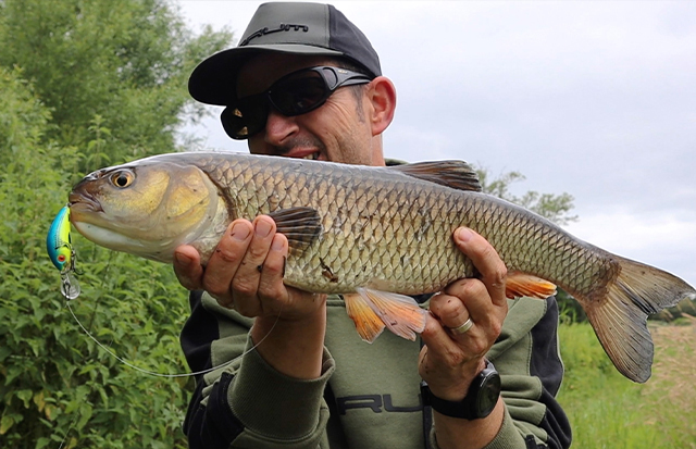 Šapalų žvejyba upėse su spiningu