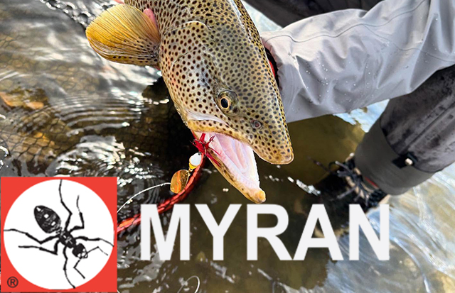 Myran sukrės – švediška klasika plėšriųjų žuvų žvejybai